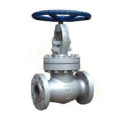 Cast Steel Globe Valve